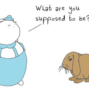 The Fat Bunny