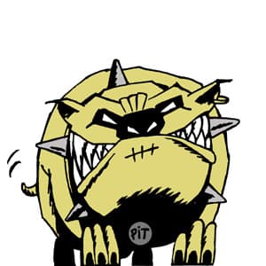 PIT