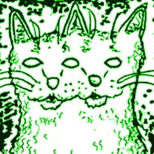 Hey, Cat.