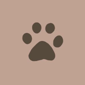 PAWS
