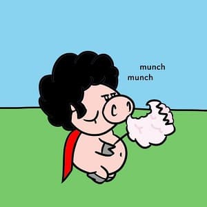 Afro Pig