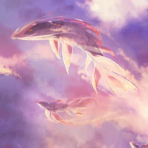 Skies Unlimited
