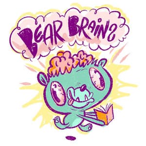 Bear Brains