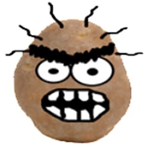 The Spud Guy
