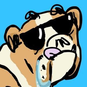 Bulldog Diaries