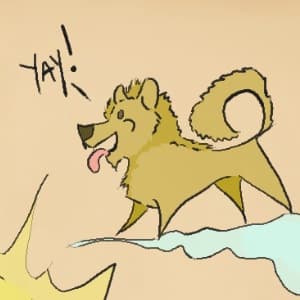 Koshu