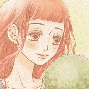 sanarin illustrations