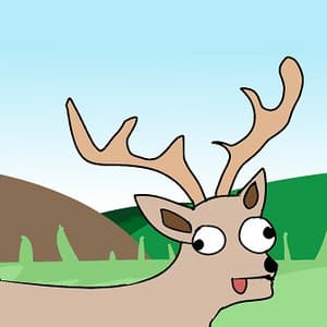 A Deer's Life