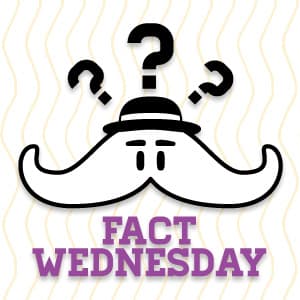 Le Angry Stuff's: Fact Wednesday