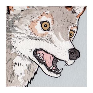 FalseKnees