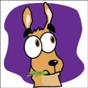 The Silent Llama