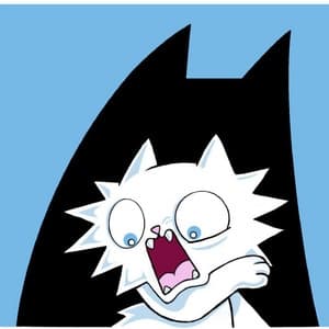 Zoid's Funny Cats