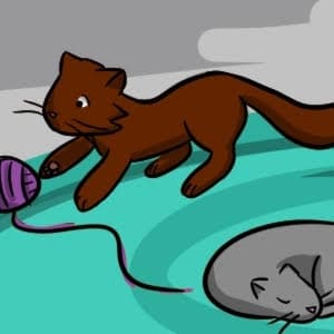 A Bundle of Kittens: My Daily Doodles