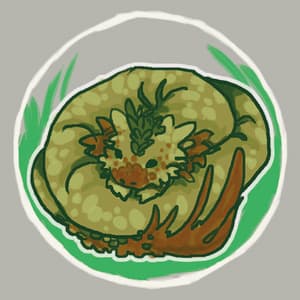 Terrarium Dragons