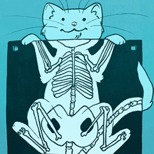 Cat Scan