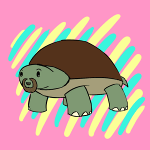 Insanity Turtle