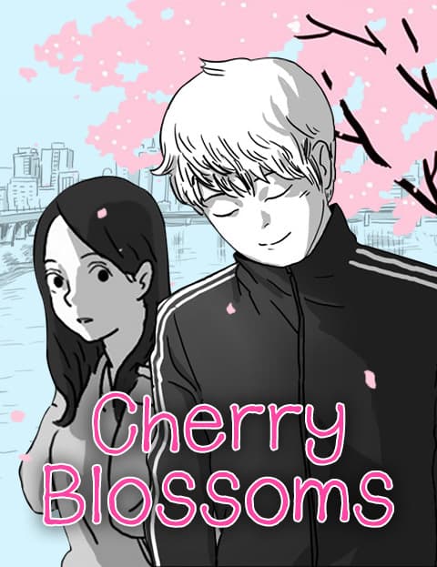 Cherry Blossoms