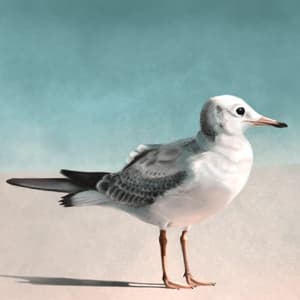 Speed-paint Saturday