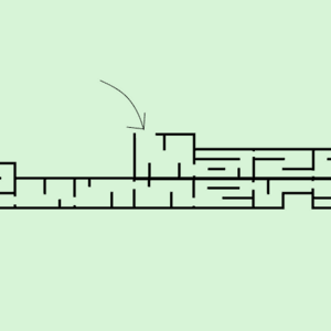 Maze runners