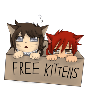 Raising Kittens