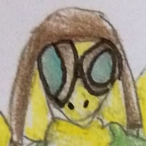 shimmer wing chronicles