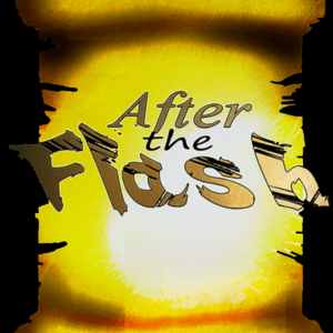 After The Flash