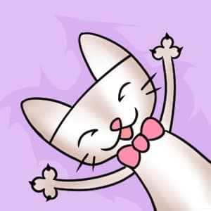 Mr Cat