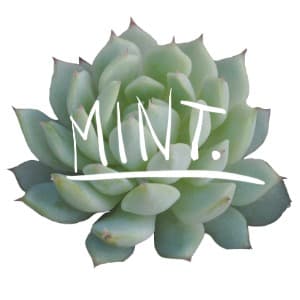 Mint
