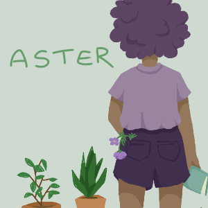 Aster