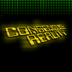 Consensus Reality