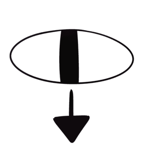 Paranøia (Pt-Br)