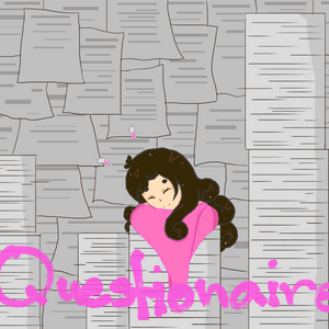 Questionnaire