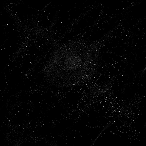 Interstellar Ark XVII