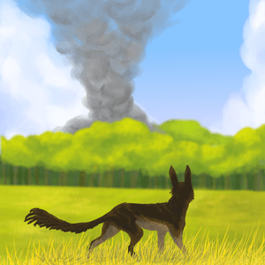 [Old] Fire in the Forest