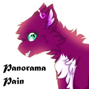 Panorama Pain