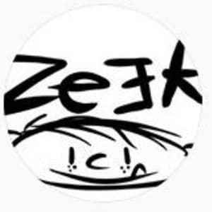 Zeek