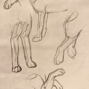 My Sketchbook