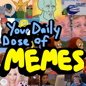 MEMES ON THE DAILY
