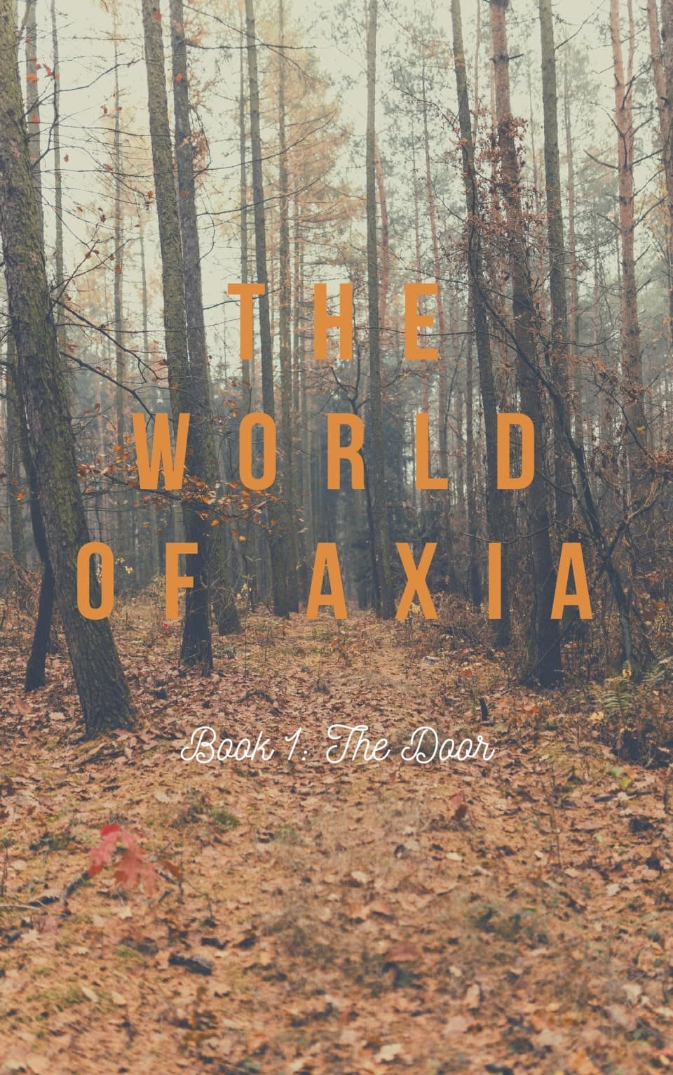 The World of Axia_The Door