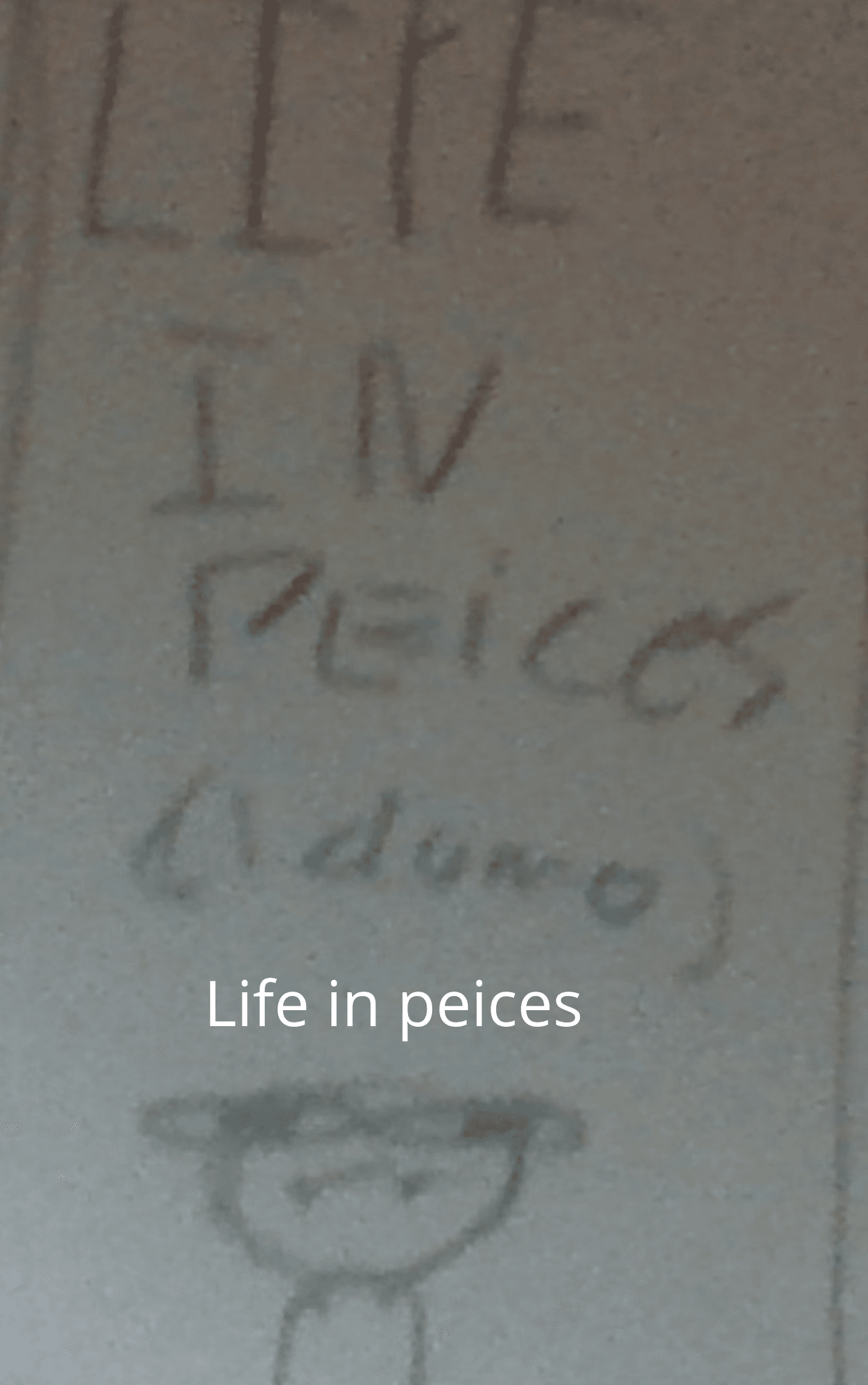 Life in pieces