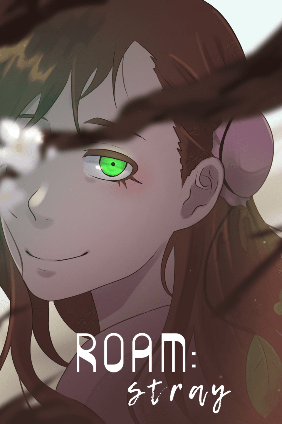 ROAM: Stray