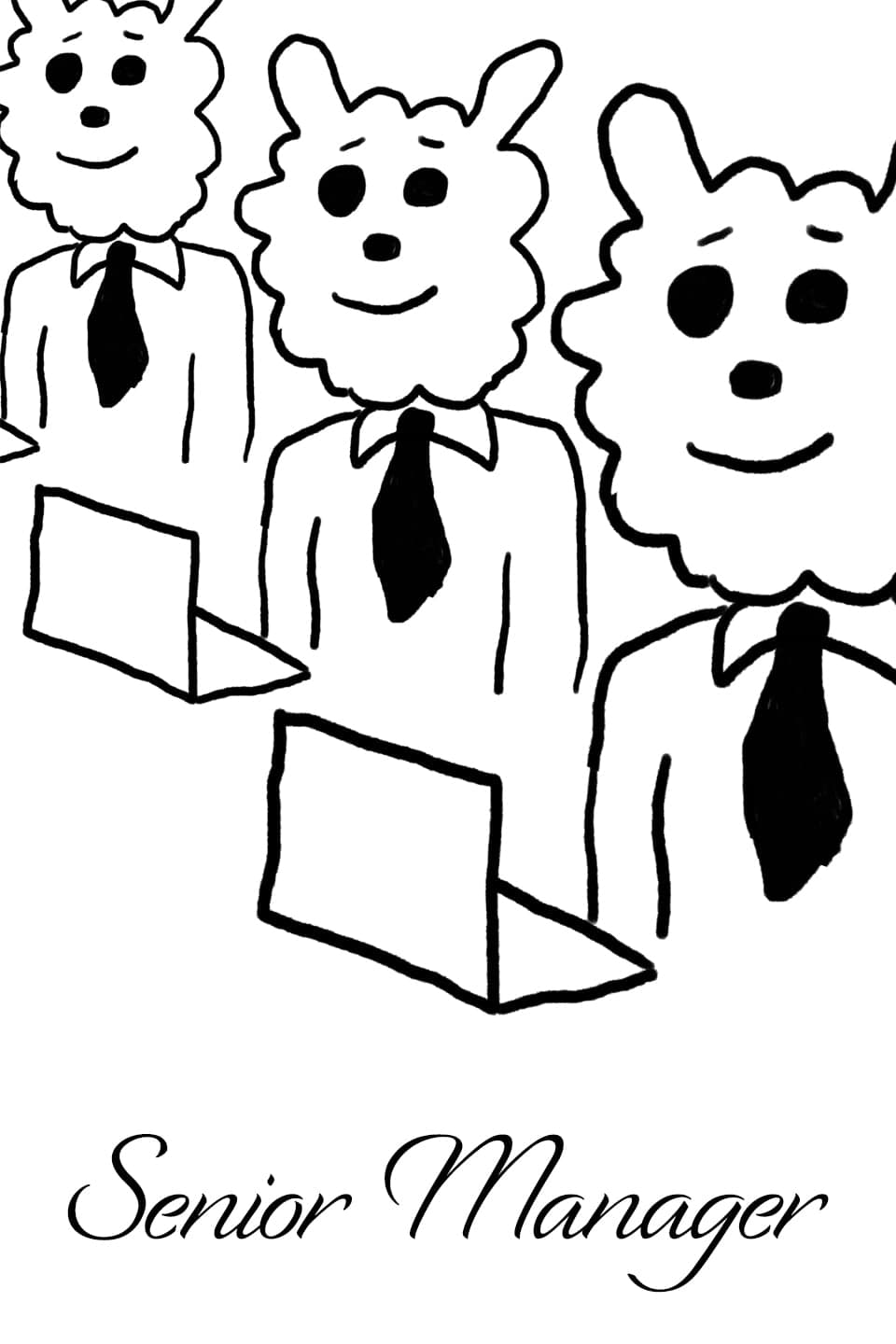 Senior Manager