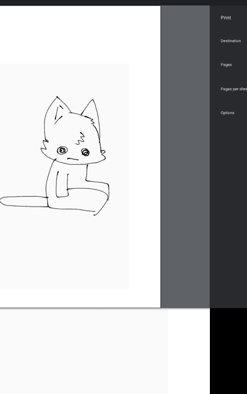 derpy cats