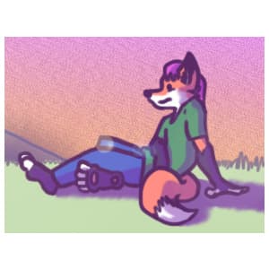 Fox n' Friends