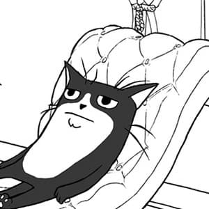 Cat Issues