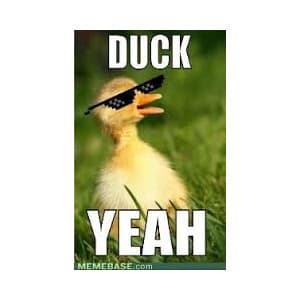 The Adventures of Sir Duck