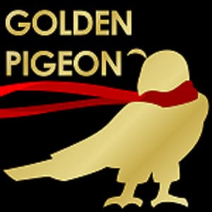 Golden Pigeon