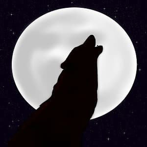 Origin of the Wolves