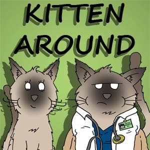 Kitten Around