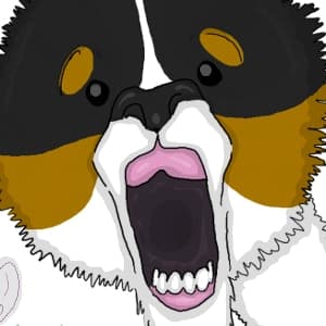 Teeth!